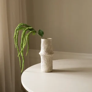 Three Forks Amaranthus Single Flower