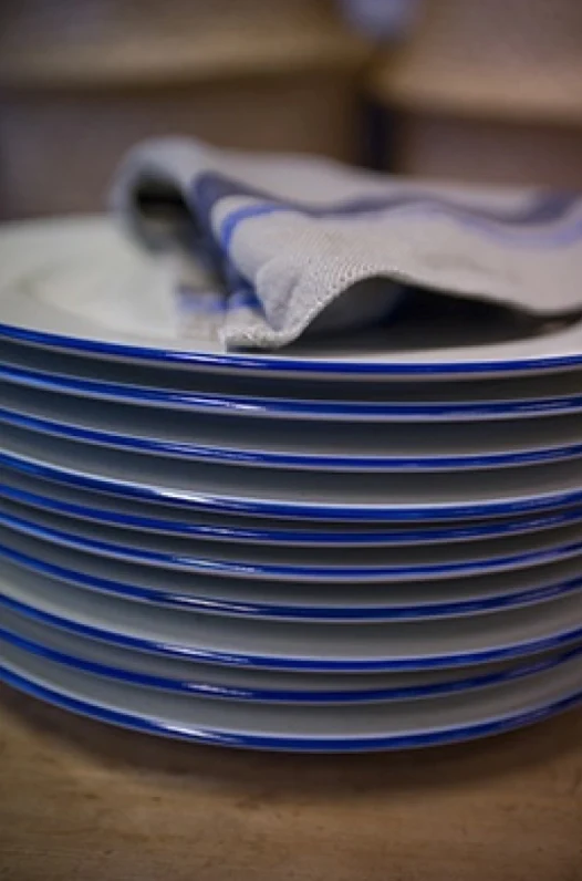 Lunch Plate Blue