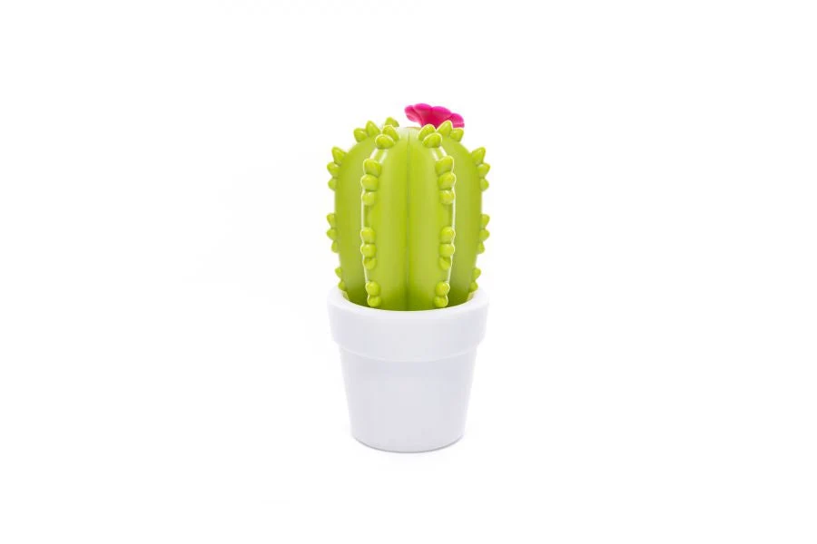 Kaktusblomst nattlys