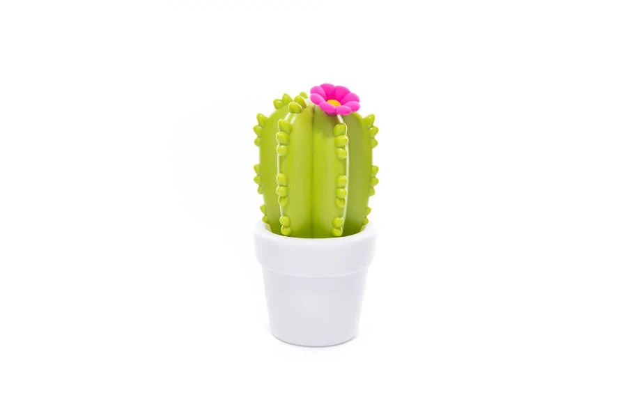 Kaktusblomst nattlys