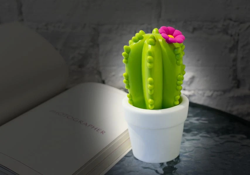 Kaktusblomst nattlys