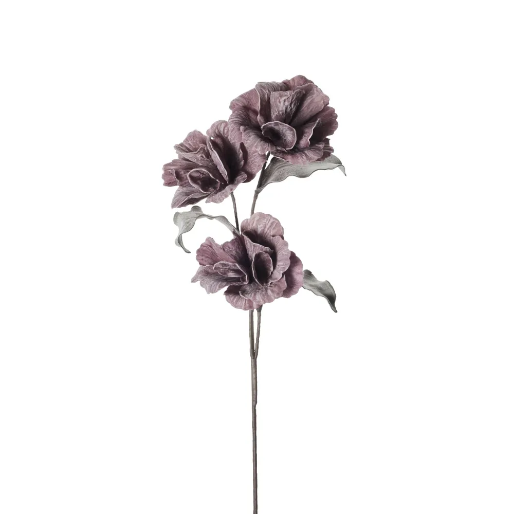 Happia skumblomst 90 cm lilla