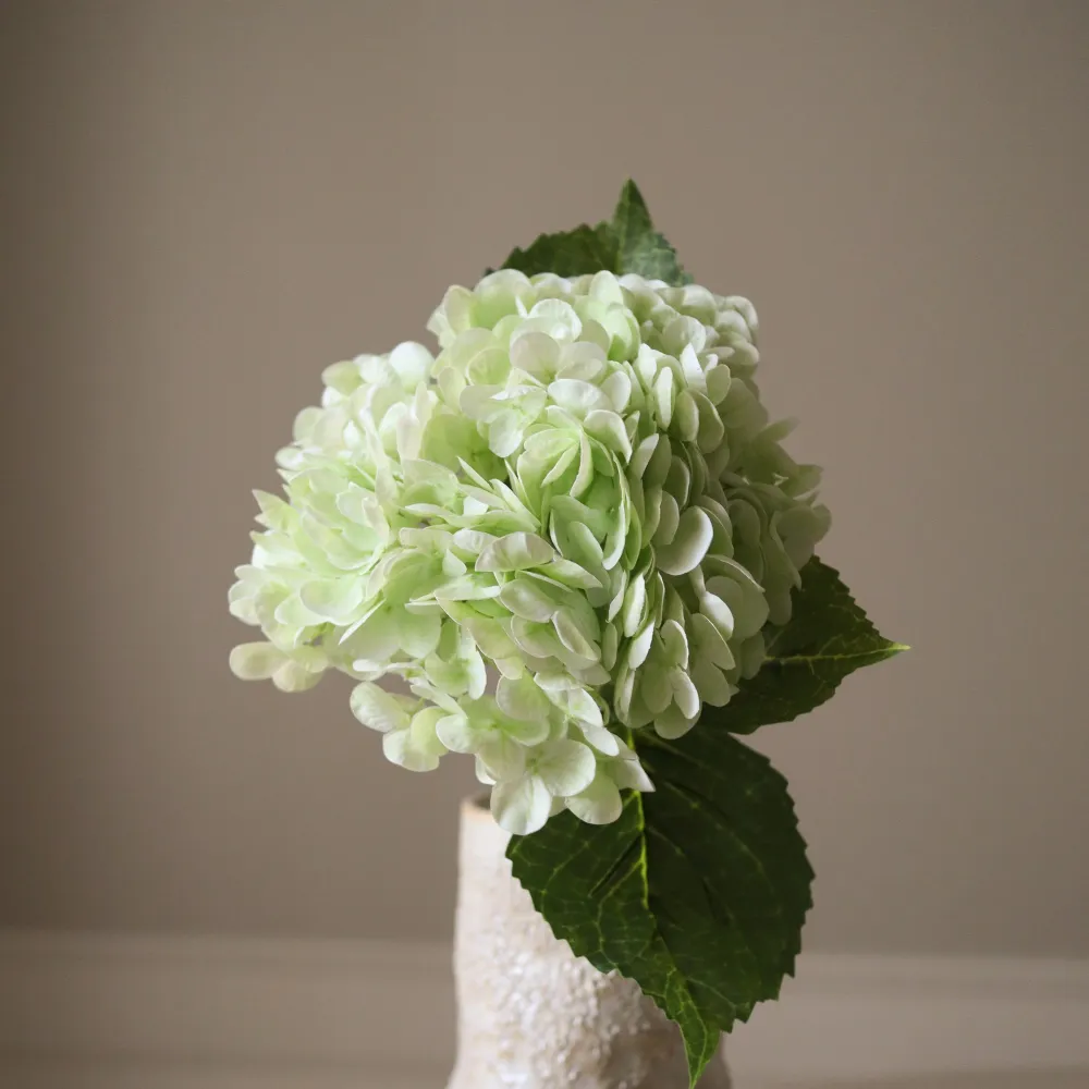 Hydrangea Flower – Lys grønn