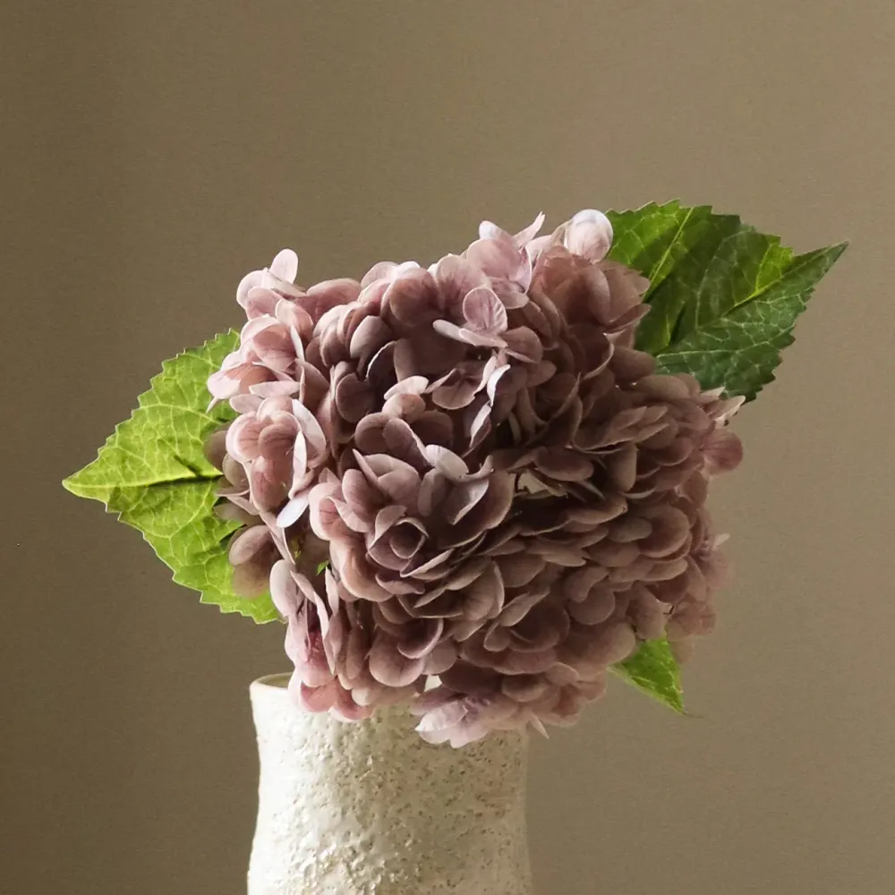 Light Purple Hydrangea Flower