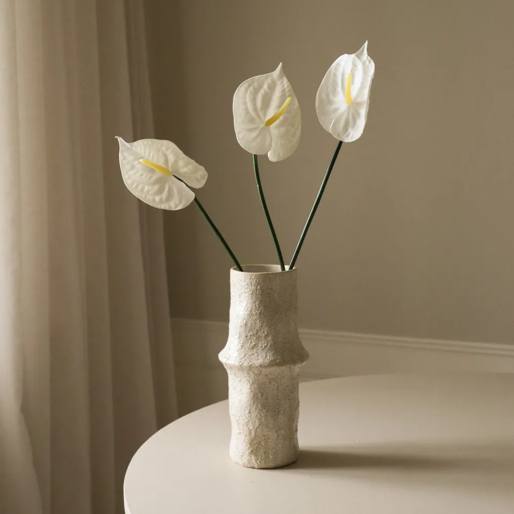 Small Anthurium Flower – Hvit