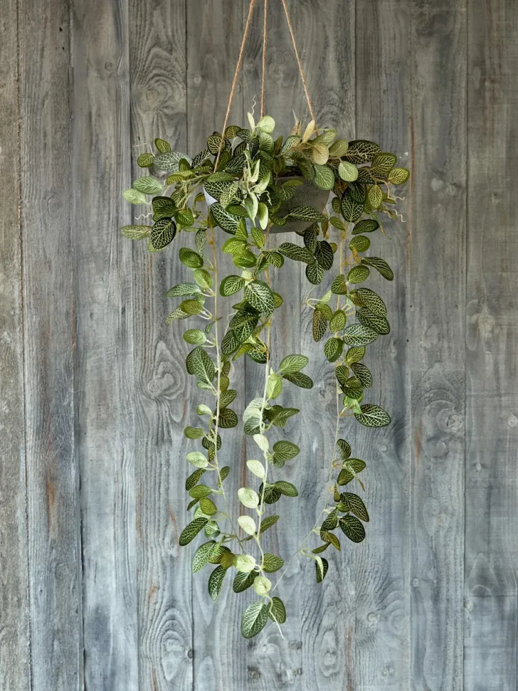 Flora Olivine