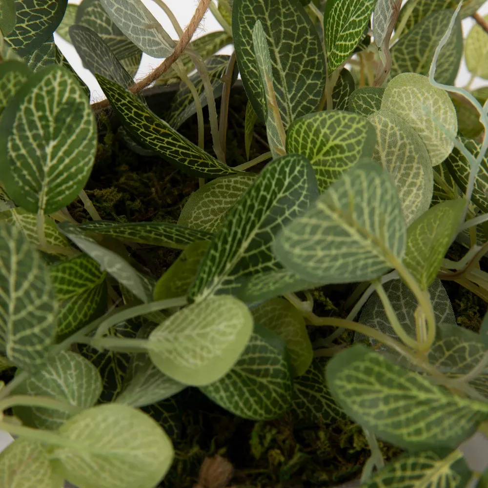 Flora Olivine