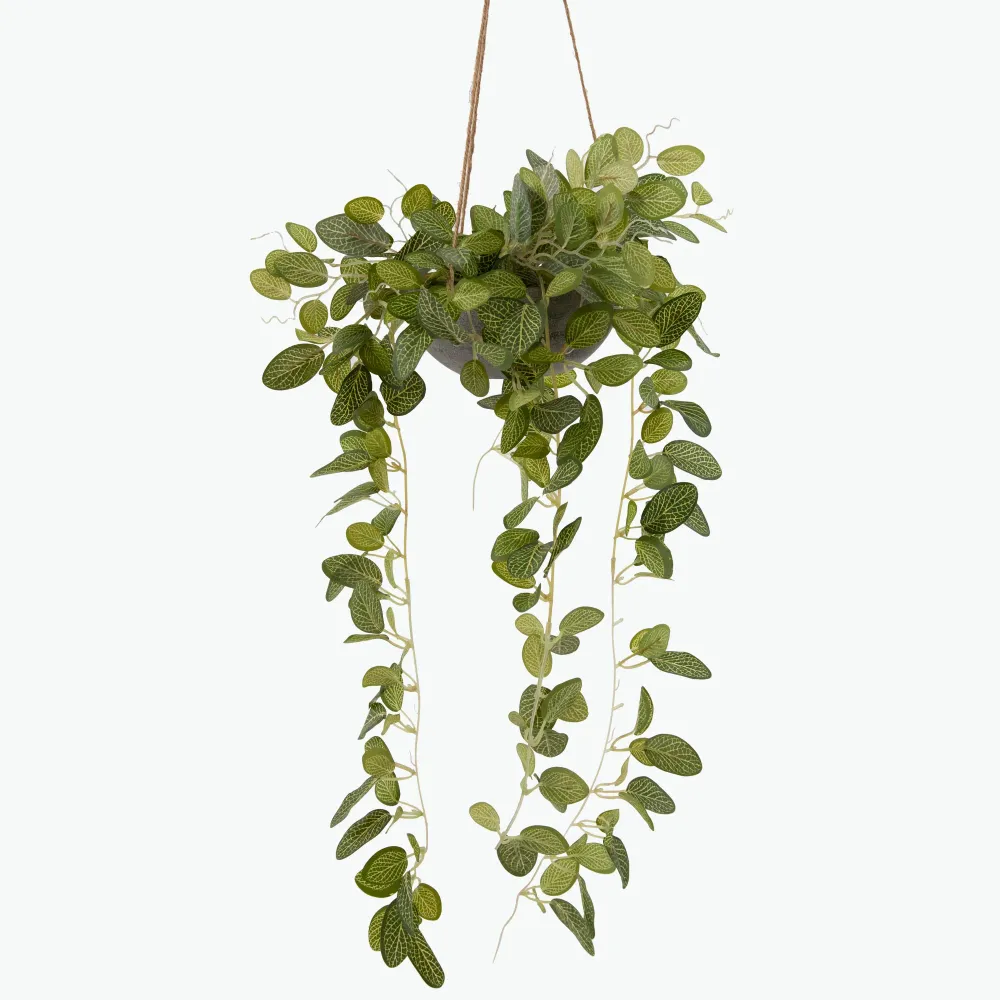 Flora Olivine