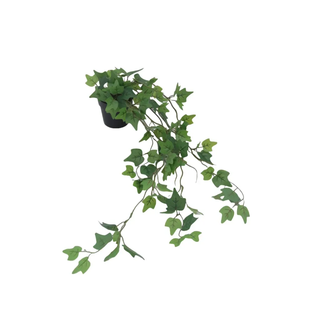 Flora eføy 65 cm