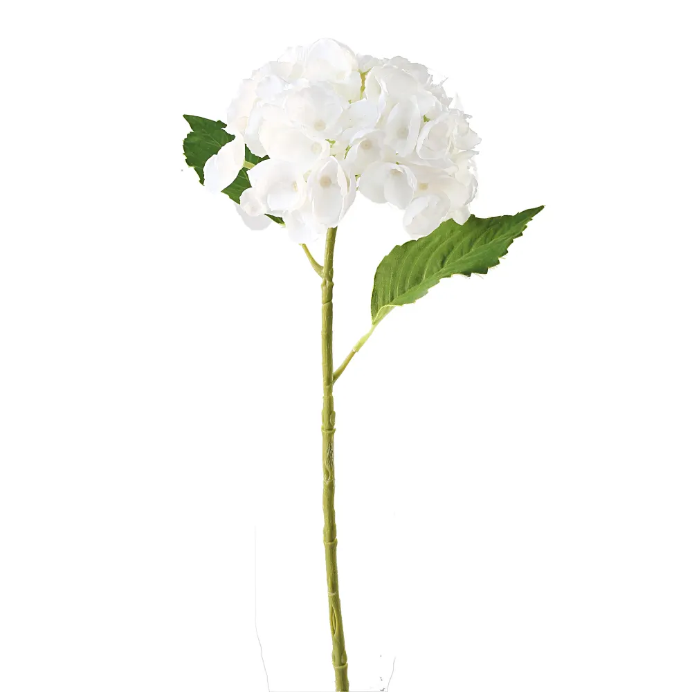 Hortensia hvit 3 stk