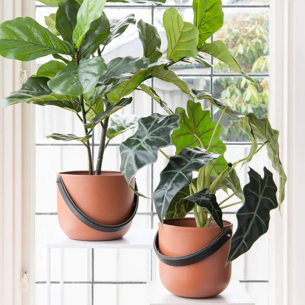 Lola potteskjuler terracotta stor