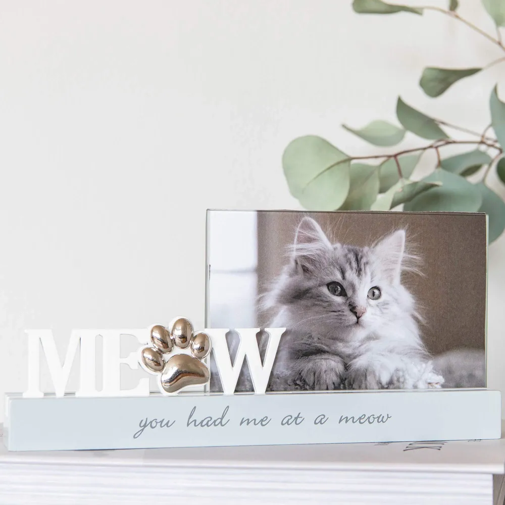 Meow ramme