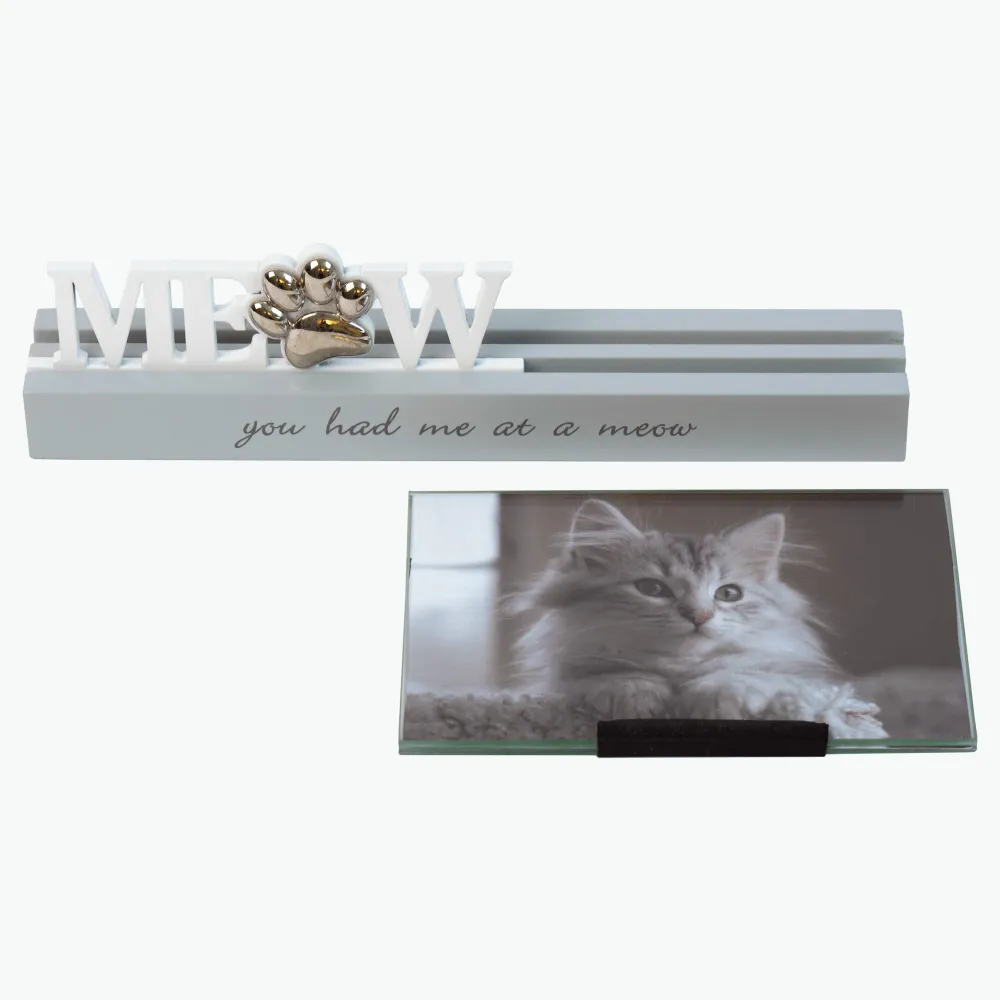 Meow ramme