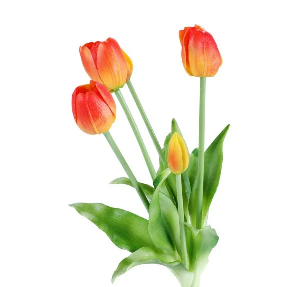 Tulip tulipaner gul/rød 40 cm 5 stk