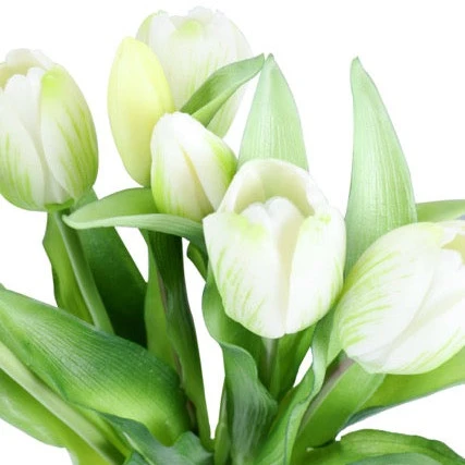 Tulip tulipaner hvit 33 cm 7 stk