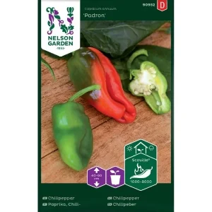 Chilipepper, Padron