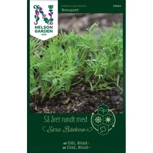 Dill, Blad-, Bouquet
