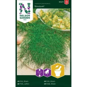 Dill, Bladdill 'Bouquet 2'