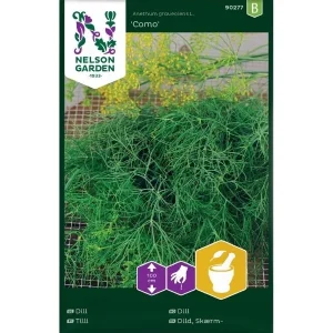 Dill 'Como' – Blad- og Krondill