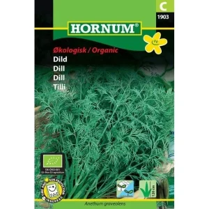 Dill – Økologisk