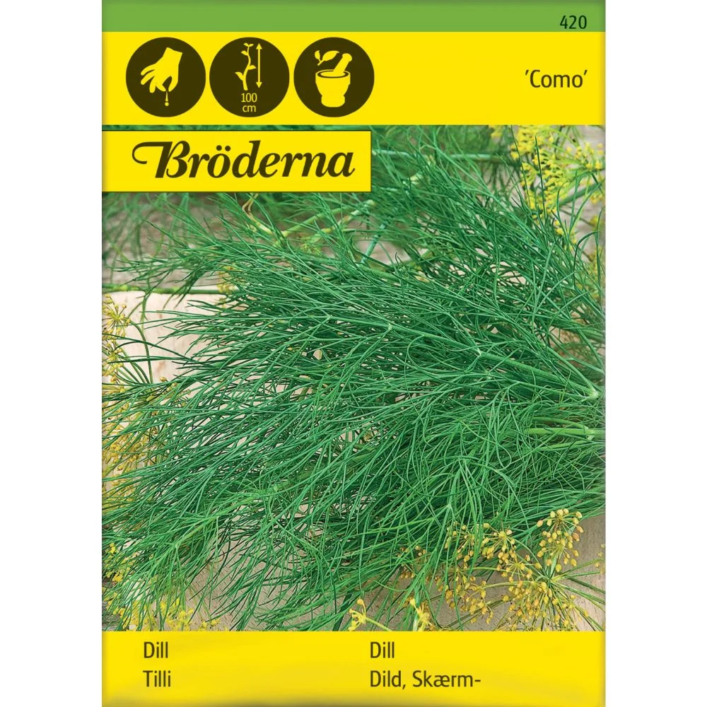 Dill Skjerm Como Frø – Aromatisk Dill til Sylting