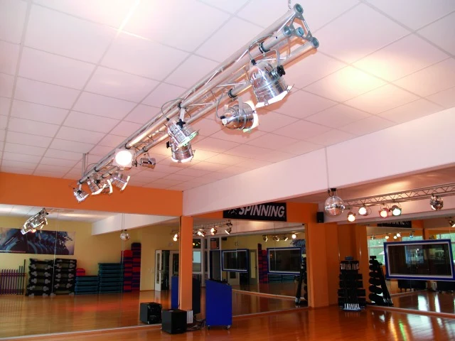 Disco ball Motor (40 cm, 4 kg)