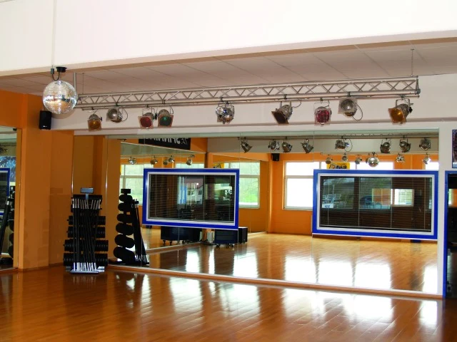 Disco ball Motor (40 cm, 4 kg)