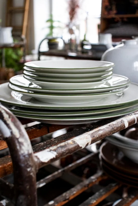 Dinner Plate Green