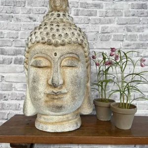 Buddha - MÅ HENTES
