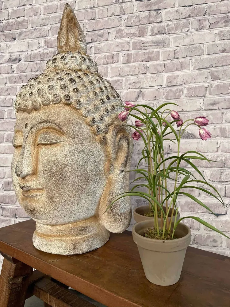 Buddha - MÅ HENTES