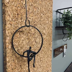 Vilje // Jernmann i ring