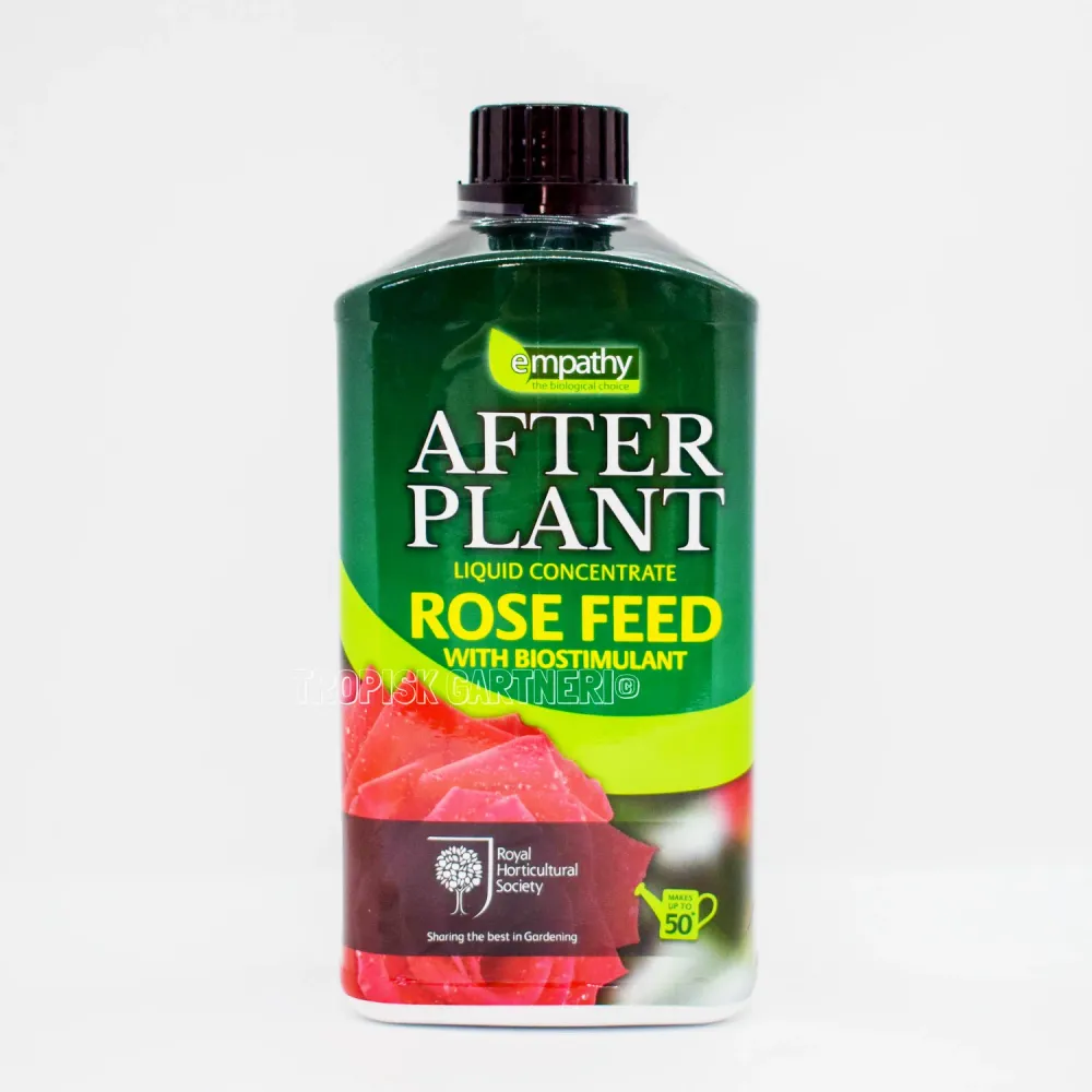 After Plant - Rose Feed