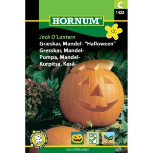Gresskarfrø , Mandel Halloween, Jack O`Lantern
