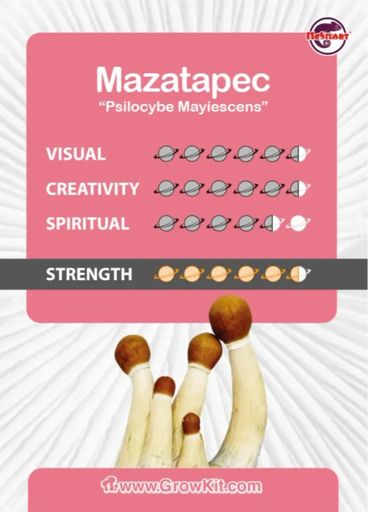 Mazatapec soppvekstsett