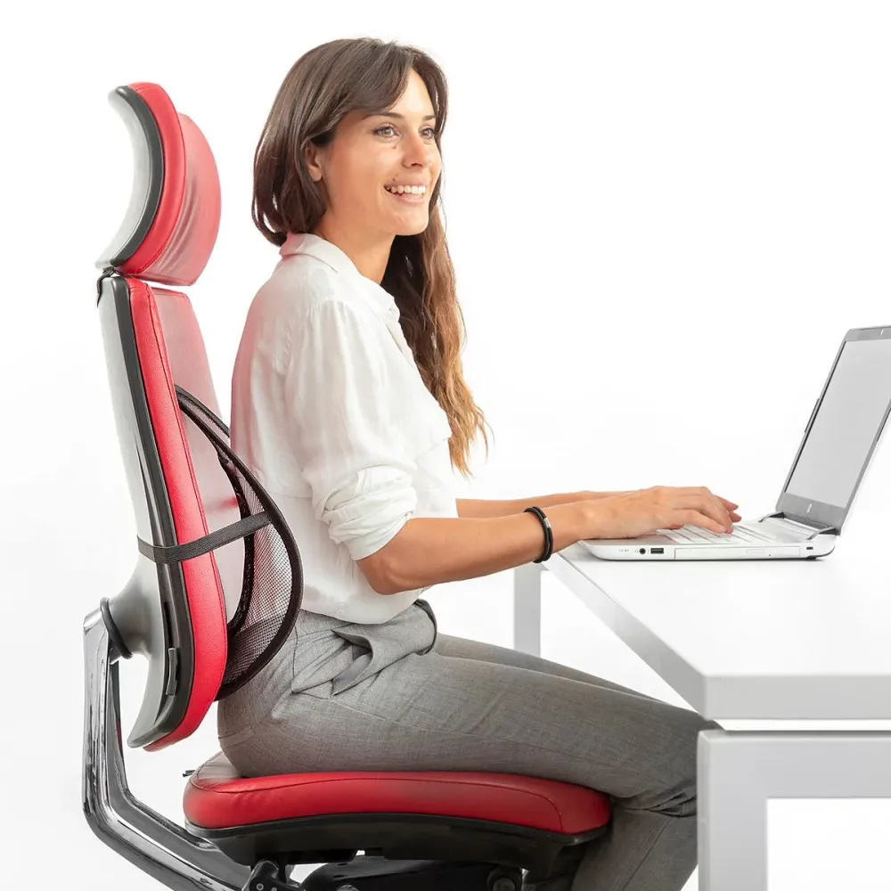 Ergonomisk korsryggstøtte