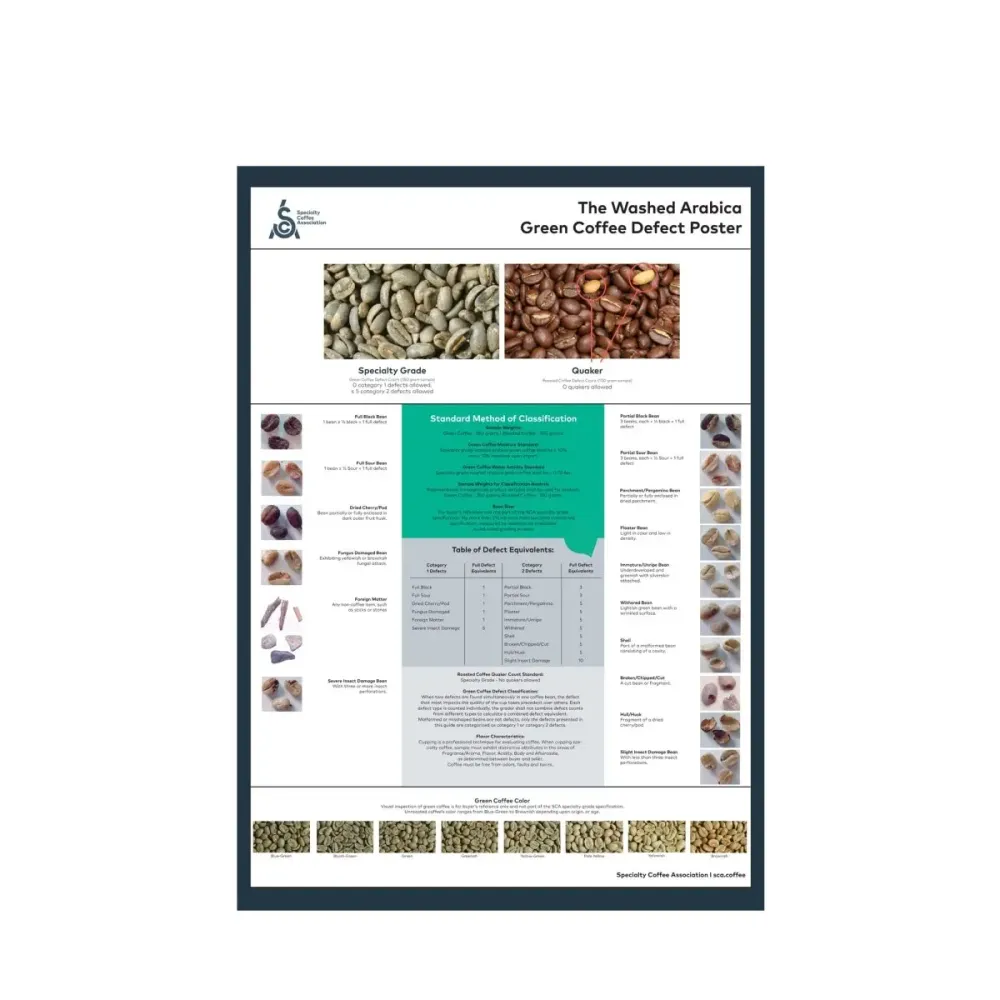 Arabica Plakat - Engelsk - SCA
