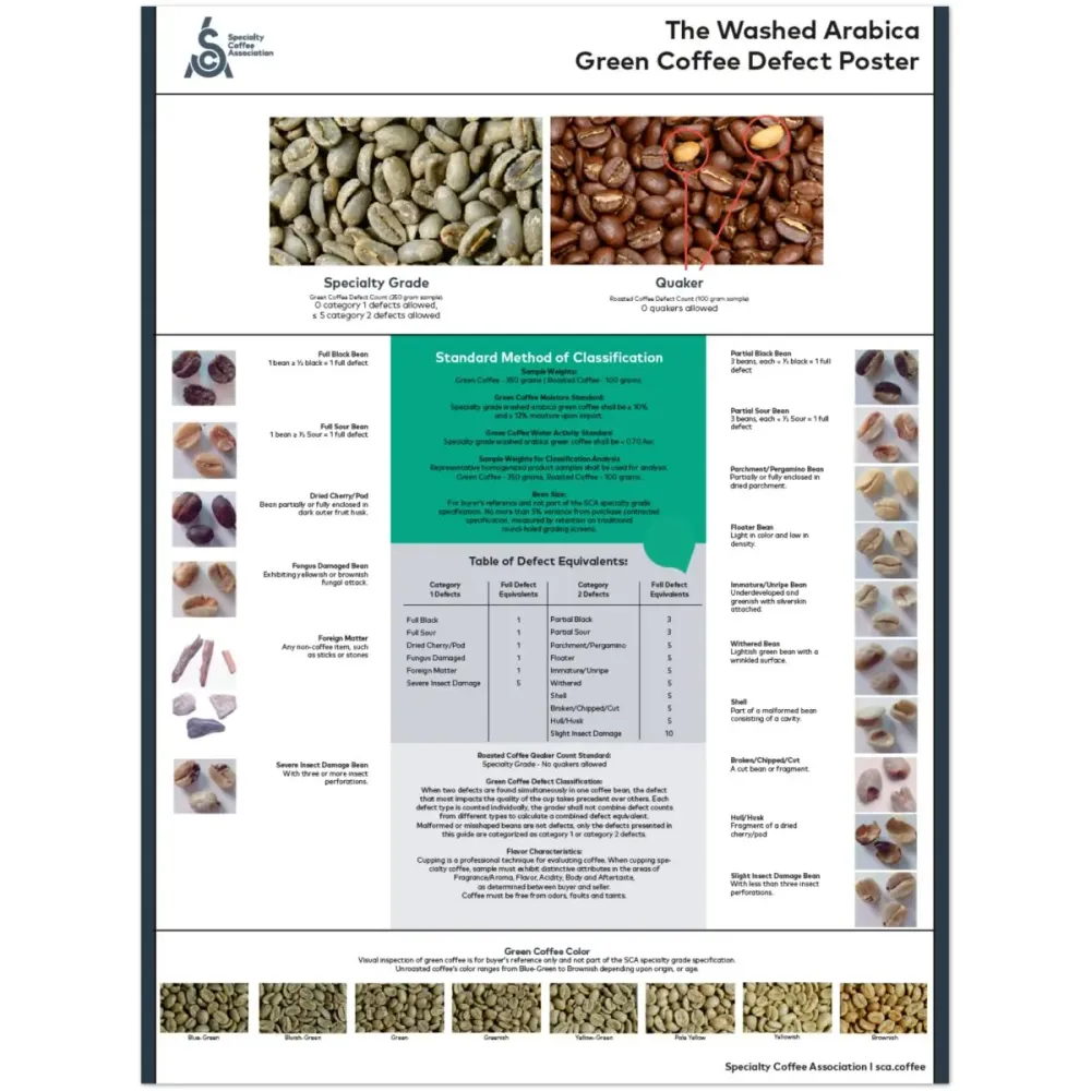 Arabica Plakat - Engelsk - SCA