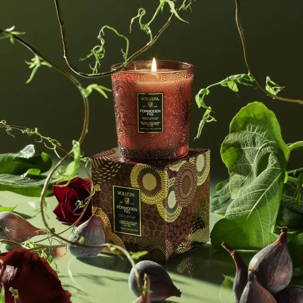 BOXED CANDLE 60TIM Forbidden Fig