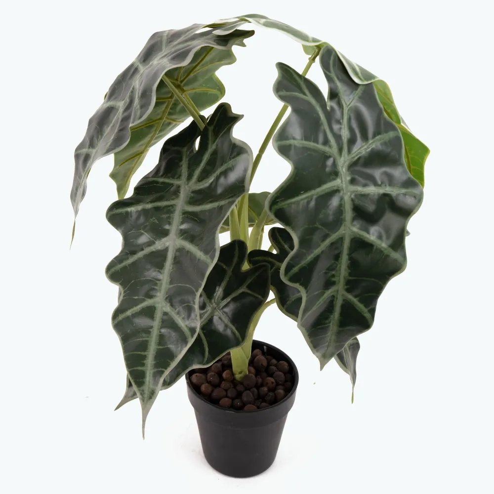 Flora Elefantøre 50 cm