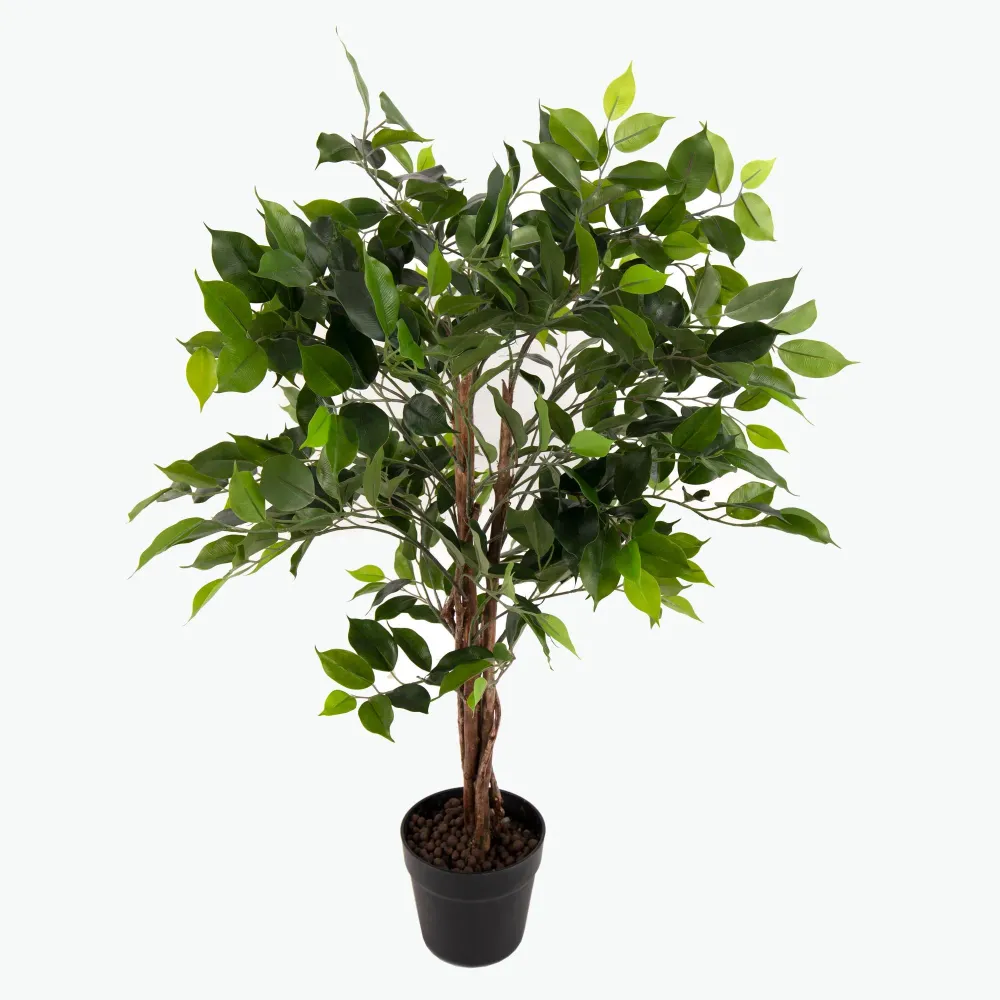 Flora Fiken 90 cm
