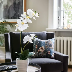 Flora Orkidé 51 cm