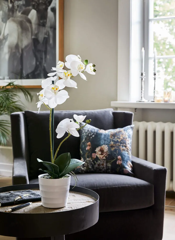 Flora Orkidé 51 cm
