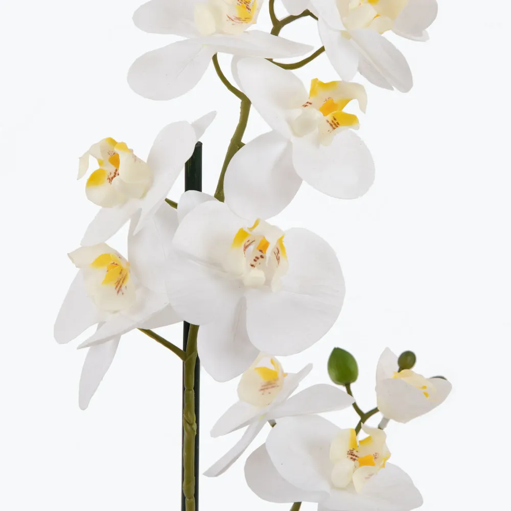 Flora Orkidé 51 cm