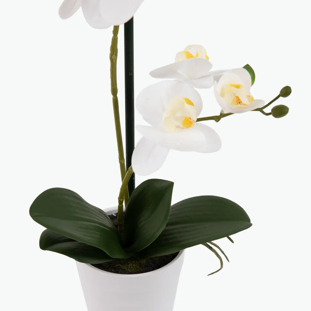 Flora Orkidé 51 cm