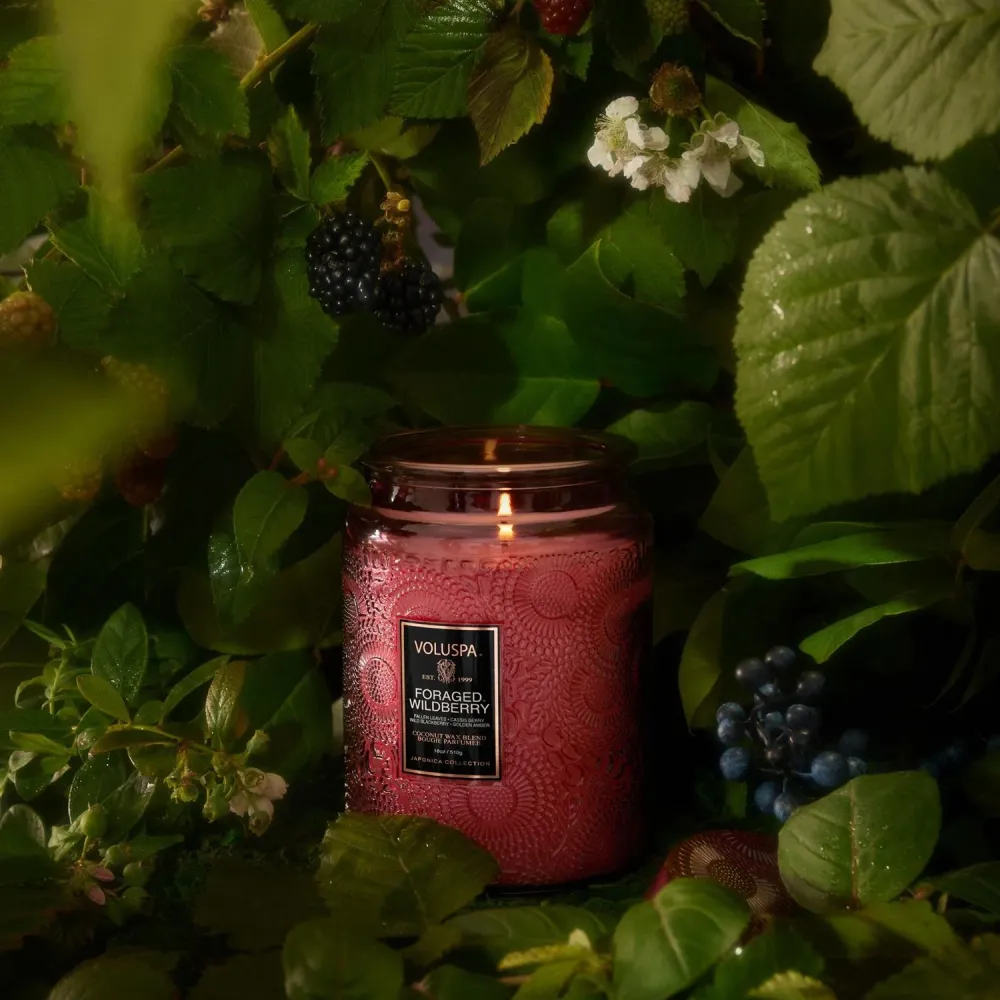 LARGE JAR CANDLE Foraged Wildberry