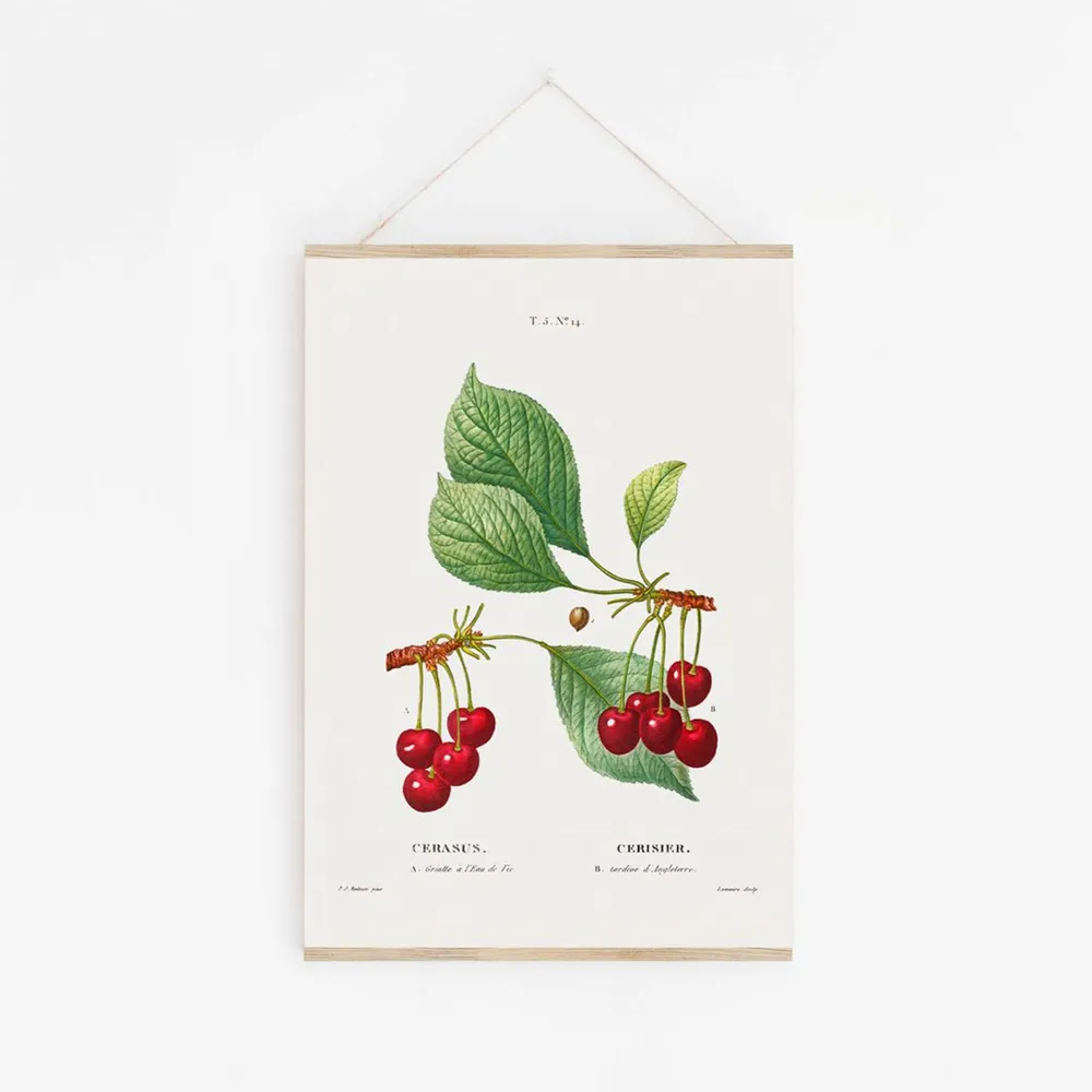 Plakat A3 Kirsebær