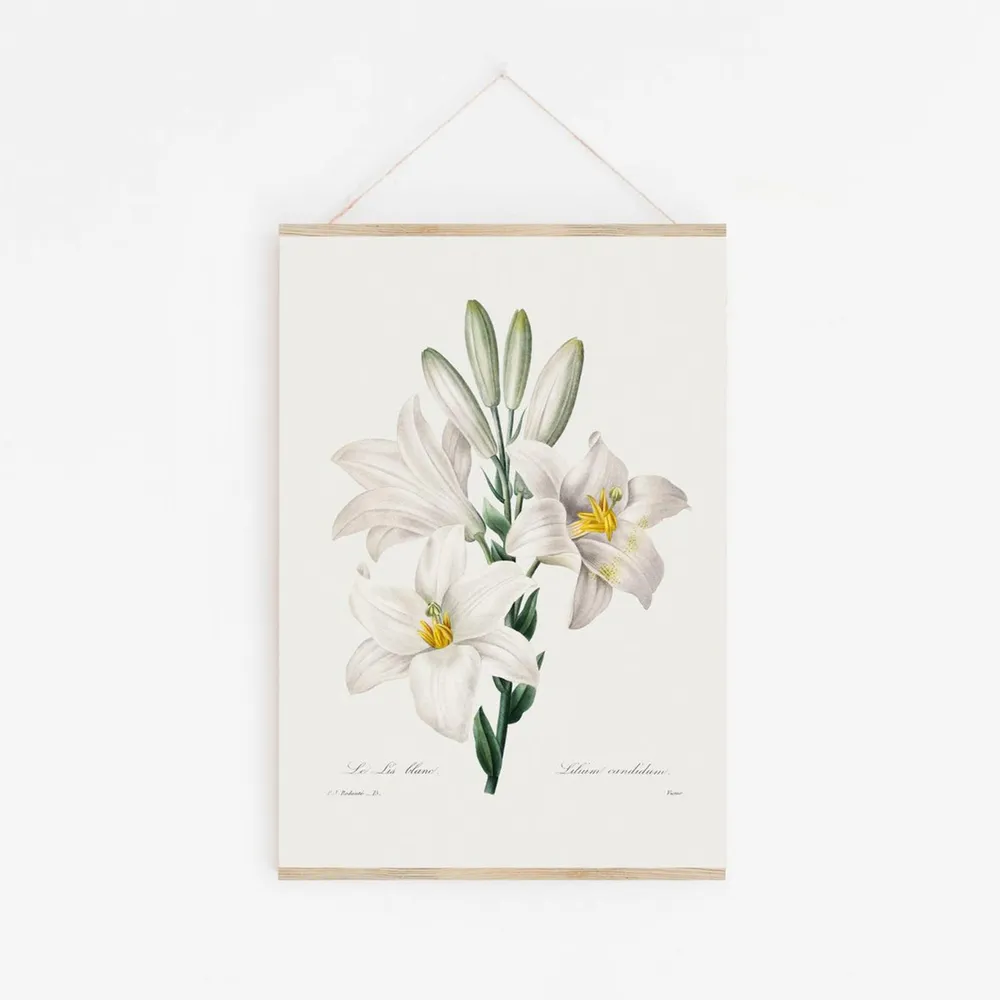 Plakat A3 Liljer
