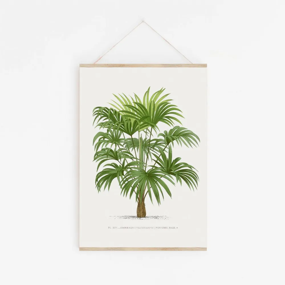 Plakat A3 Palme 1