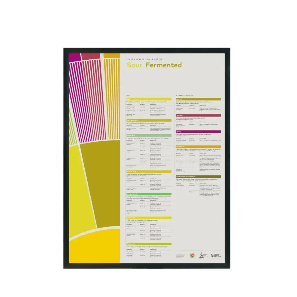 Smakoppfattelse i kaffeplakat - surfermentert