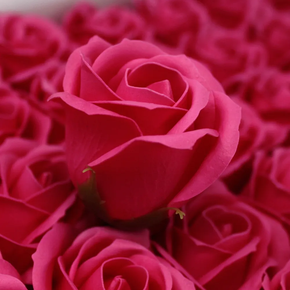 Såpe Roseblomster 10 Pakke
